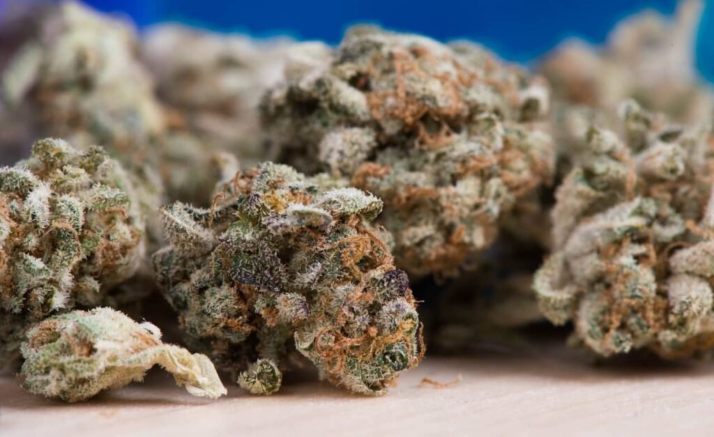 weed bud